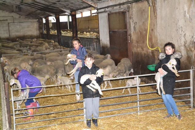 CAMPING A LA FERME DU SAHUT